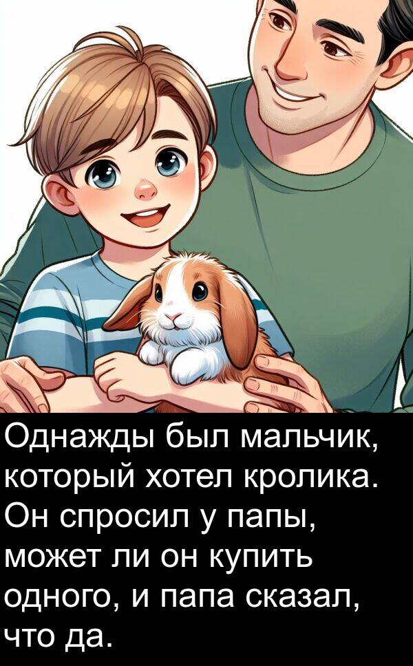 хотел: Однажды был мальчик, который хотел кролика. Он спросил у папы, может ли он купить одного, и папа сказал, что да.