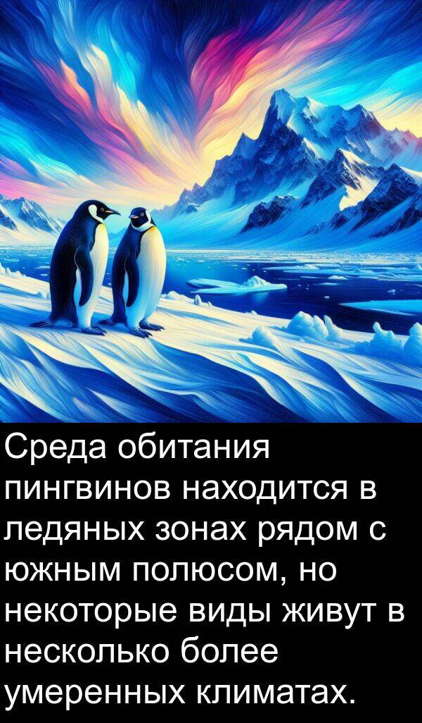 живут: Среда обитания пингвинов находится в ледяных зонах рядом с южным полюсом, но некоторые виды живут в несколько более умеренных климатах.