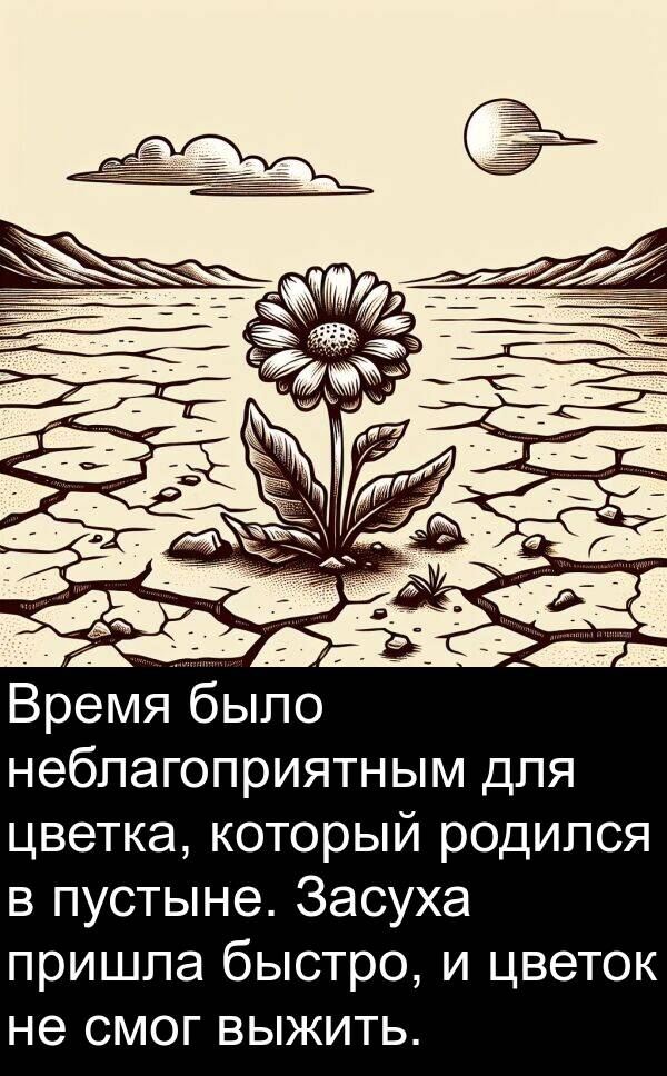 цветок: Время было неблагоприятным для цветка, который родился в пустыне. Засуха пришла быстро, и цветок не смог выжить.