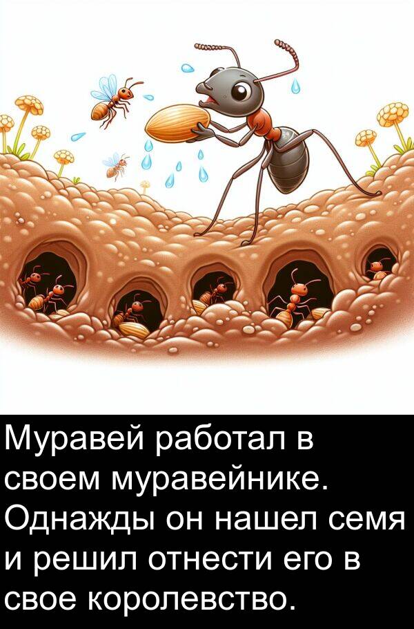 работал: Муравей работал в своем муравейнике. Однажды он нашел семя и решил отнести его в свое королевство.