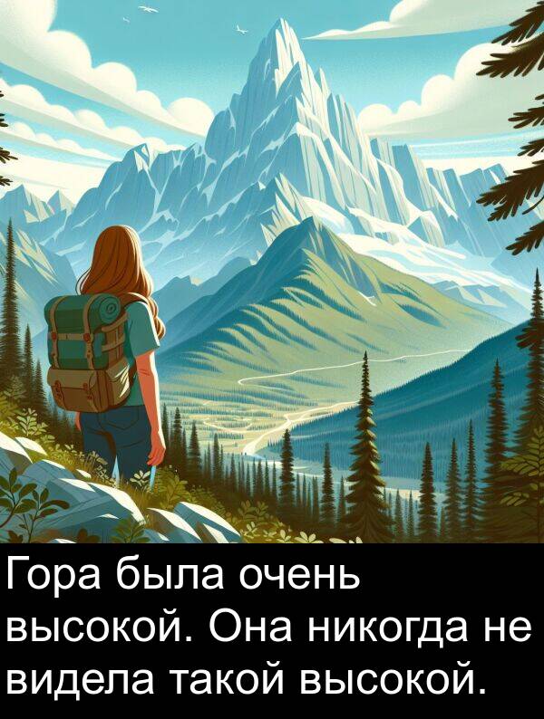 такой: Гора была очень высокой. Она никогда не видела такой высокой.