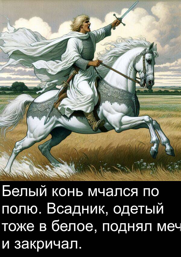 тоже: Белый конь мчался по полю. Всадник, одетый тоже в белое, поднял меч и закричал.