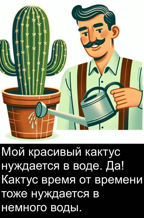 тоже: Мой красивый кактус нуждается в воде. Да! Кактус время от времени тоже нуждается в немного воды.