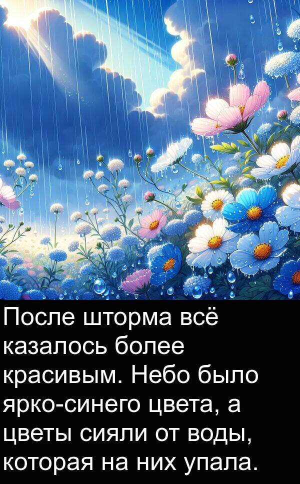 казалось: После шторма всё казалось более красивым. Небо было ярко-синего цвета, а цветы сияли от воды, которая на них упала.