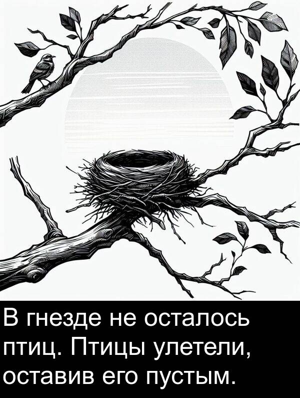 гнезде: В гнезде не осталось птиц. Птицы улетели, оставив его пустым.