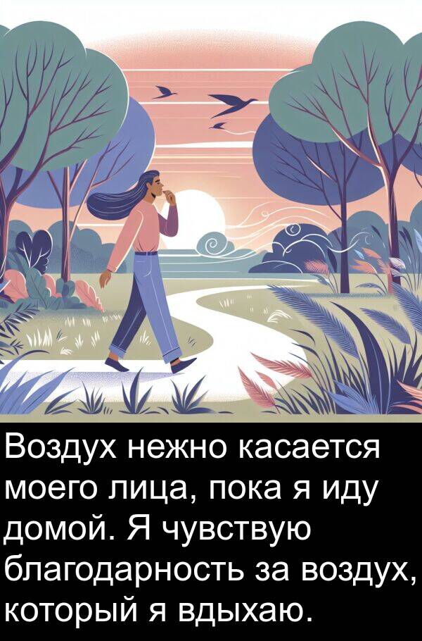 лица: Воздух нежно касается моего лица, пока я иду домой. Я чувствую благодарность за воздух, который я вдыхаю.