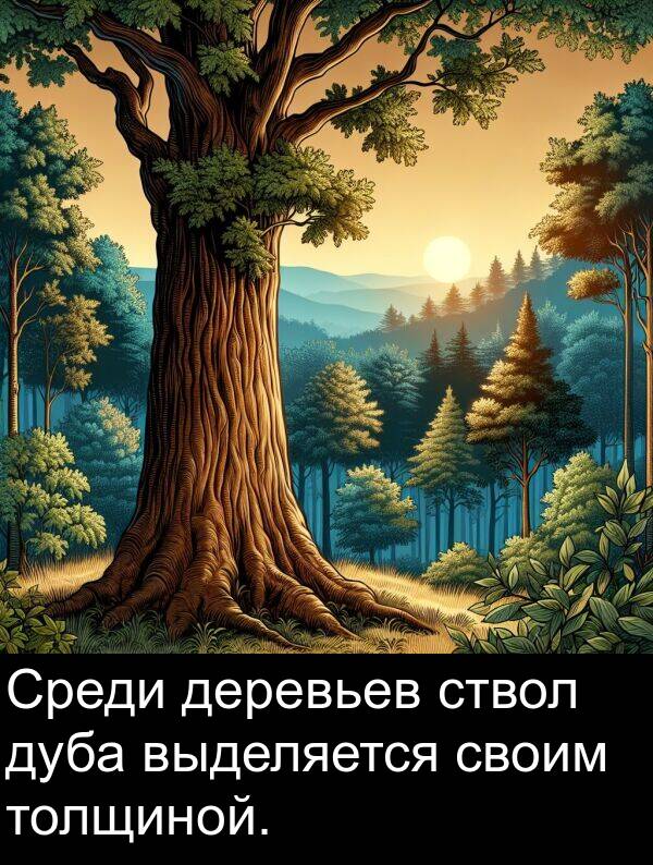 своим: Среди деревьев ствол дуба выделяется своим толщиной.