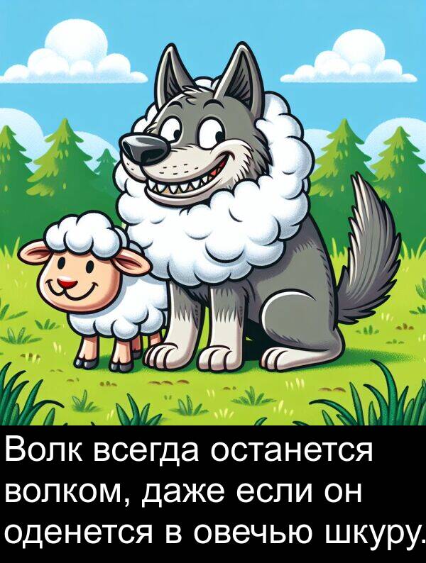 даже: Волк всегда останется волком, даже если он оденется в овечью шкуру.