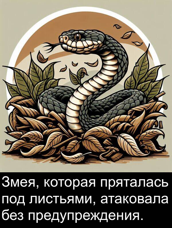 без: Змея, которая пряталась под листьями, атаковала без предупреждения.