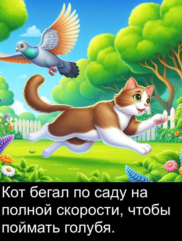 бегал: Кот бегал по саду на полной скорости, чтобы поймать голубя.
