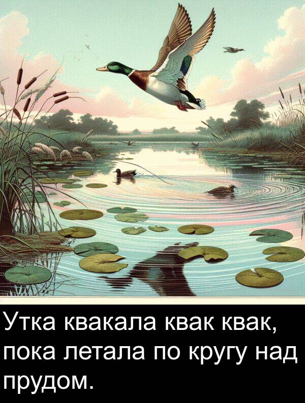 летала: Утка квакала квак квак, пока летала по кругу над прудом.