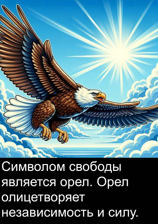 свободы: Символом свободы является орел. Орел олицетворяет независимость и силу.