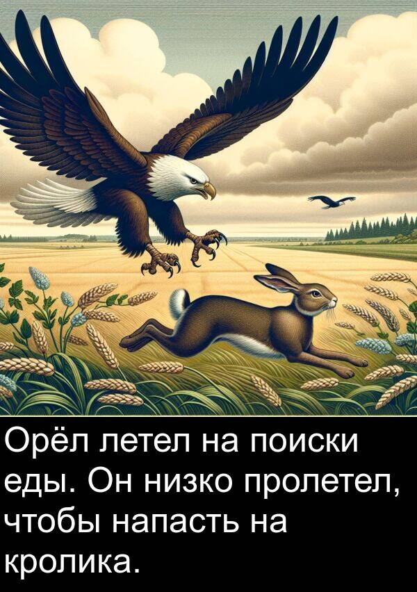 летел: Орёл летел на поиски еды. Он низко пролетел, чтобы напасть на кролика.