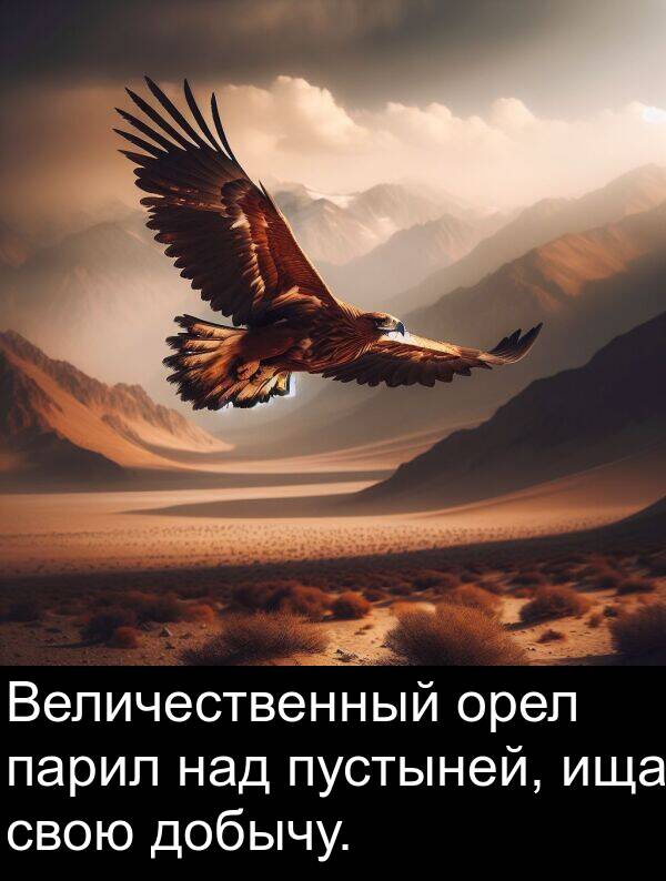 над: Величественный орел парил над пустыней, ища свою добычу.