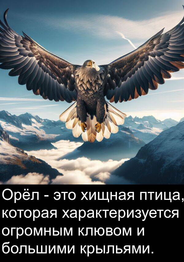птица: Орёл - это хищная птица, которая характеризуется огромным клювом и большими крыльями.
