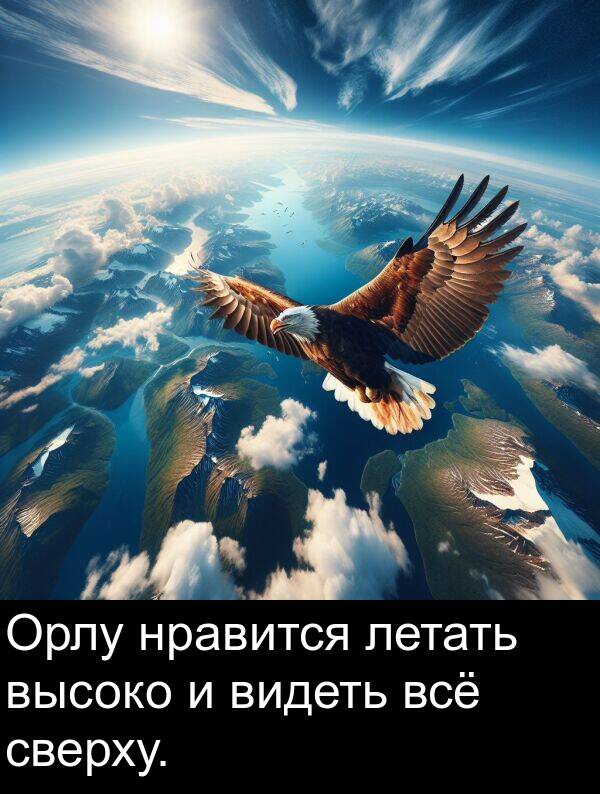 летать: Орлу нравится летать высоко и видеть всё сверху.