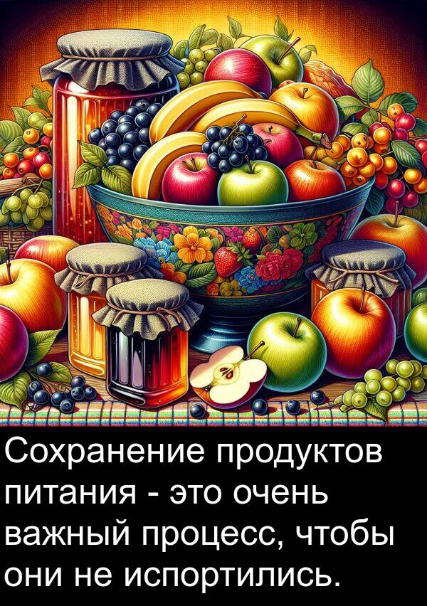 питания: Сохранение продуктов питания - это очень важный процесс, чтобы они не испортились.