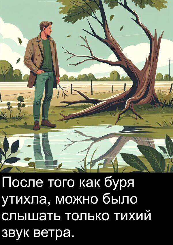 звук: После того как буря утихла, можно было слышать только тихий звук ветра.