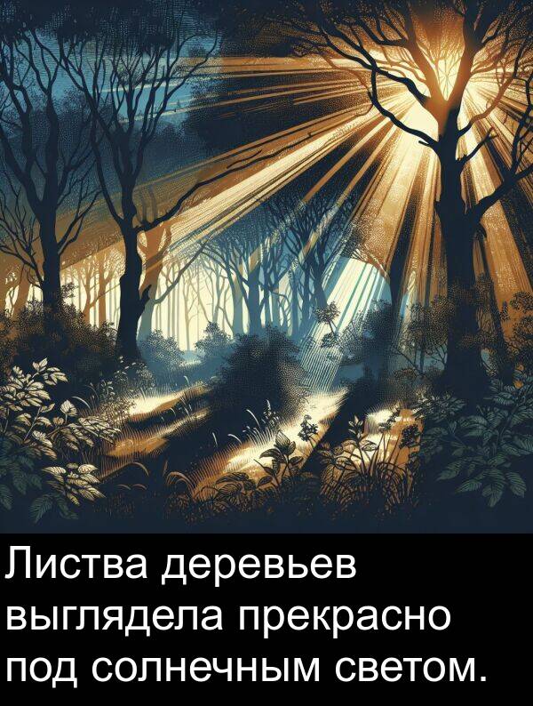 светом: Листва деревьев выглядела прекрасно под солнечным светом.