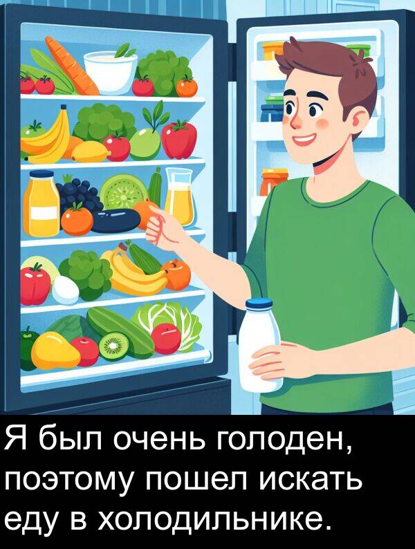 холодильнике: Я был очень голоден, поэтому пошел искать еду в холодильнике.