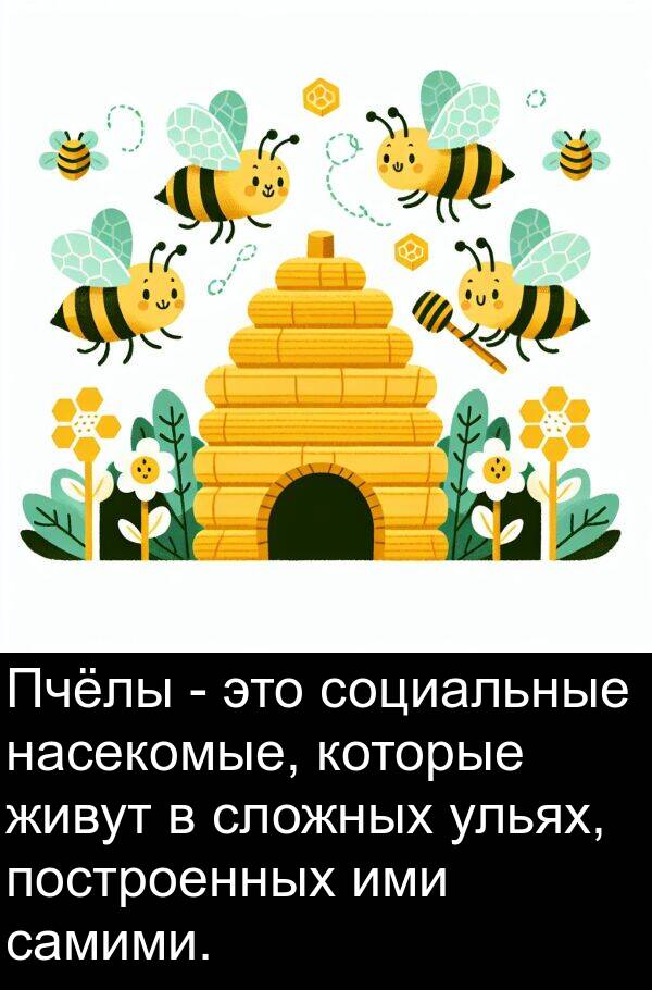 живут: Пчёлы - это социальные насекомые, которые живут в сложных ульях, построенных ими самими.