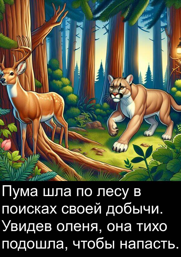 лесу: Пума шла по лесу в поисках своей добычи. Увидев оленя, она тихо подошла, чтобы напасть.