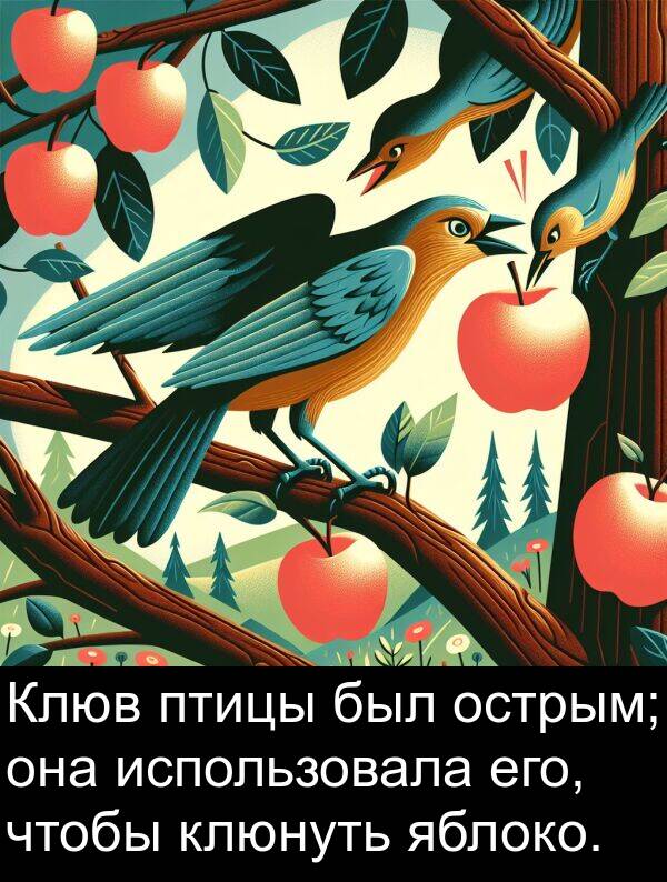 яблоко: Клюв птицы был острым; она использовала его, чтобы клюнуть яблоко.