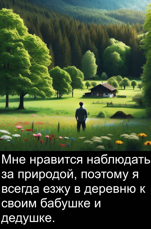 дедушке: Мне нравится наблюдать за природой, поэтому я всегда езжу в деревню к своим бабушке и дедушке.