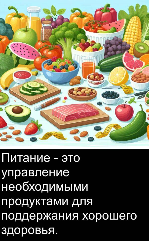 здоровья: Питание - это управление необходимыми продуктами для поддержания хорошего здоровья.