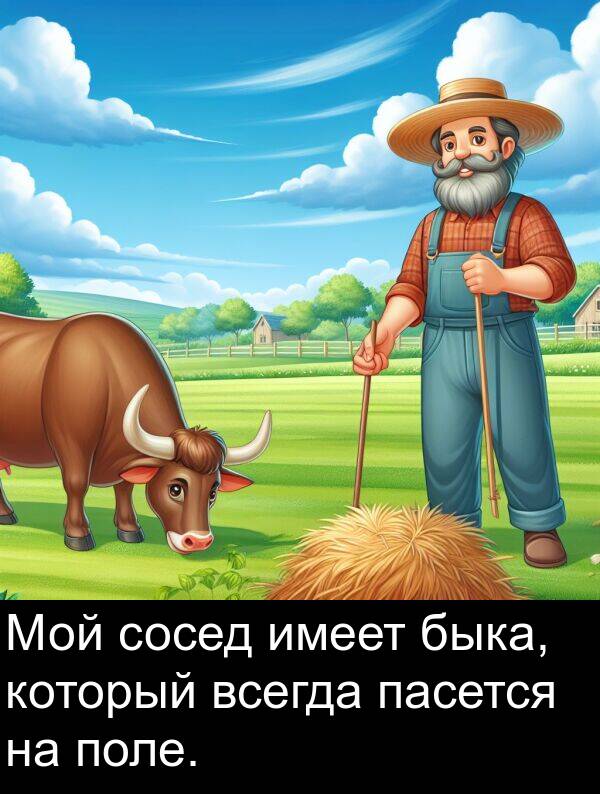 имеет: Мой сосед имеет быка, который всегда пасется на поле.