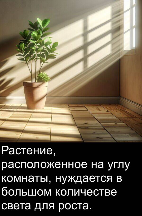 количестве: Растение, расположенное на углу комнаты, нуждается в большом количестве света для роста.