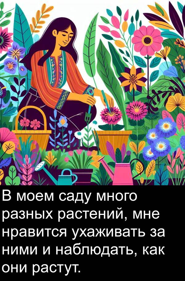 наблюдать: В моем саду много разных растений, мне нравится ухаживать за ними и наблюдать, как они растут.