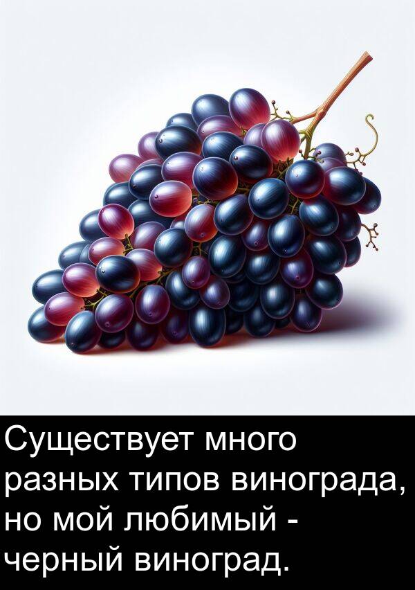 типов: Существует много разных типов винограда, но мой любимый - черный виноград.