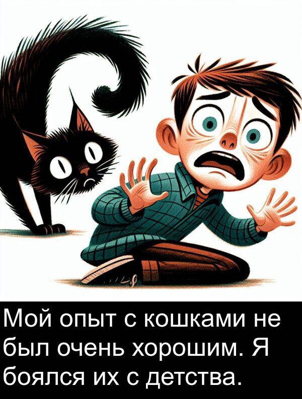 хорошим: Мой опыт с кошками не был очень хорошим. Я боялся их с детства.