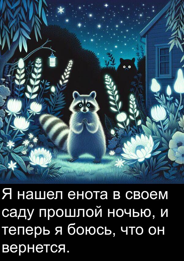 вернется: Я нашел енота в своем саду прошлой ночью, и теперь я боюсь, что он вернется.