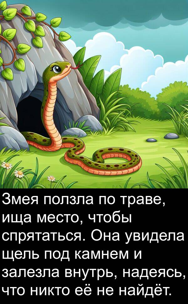 траве: Змея ползла по траве, ища место, чтобы спрятаться. Она увидела щель под камнем и залезла внутрь, надеясь, что никто её не найдёт.