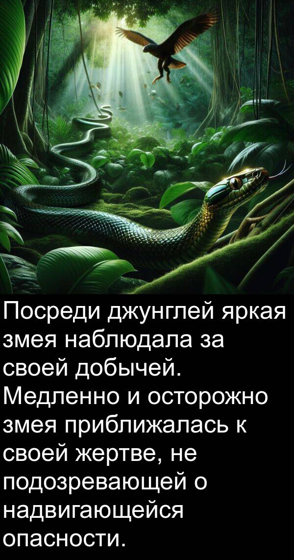 наблюдала: Посреди джунглей яркая змея наблюдала за своей добычей. Медленно и осторожно змея приближалась к своей жертве, не подозревающей о надвигающейся опасности.