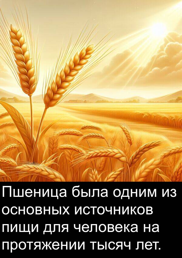 тысяч: Пшеница была одним из основных источников пищи для человека на протяжении тысяч лет.