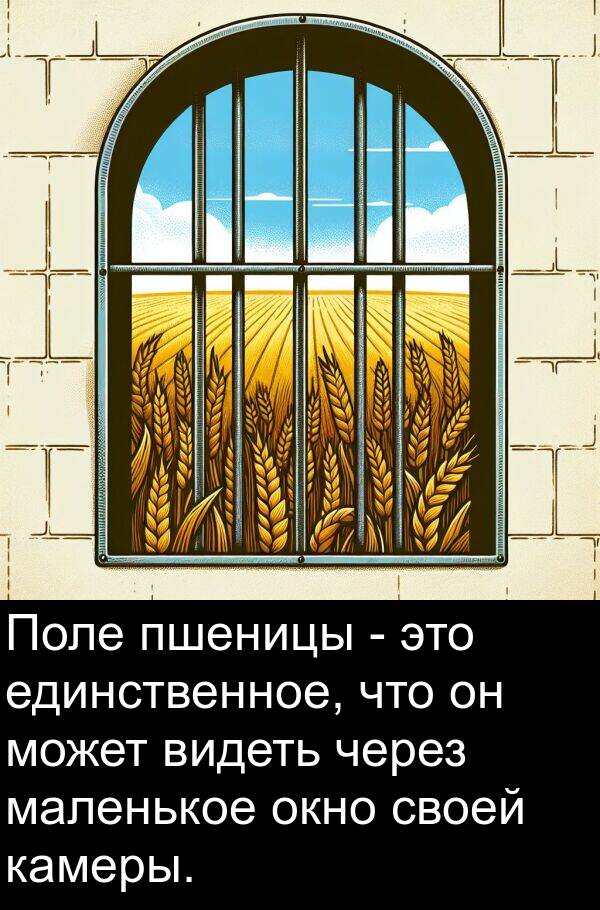 единственное: Поле пшеницы - это единственное, что он может видеть через маленькое окно своей камеры.