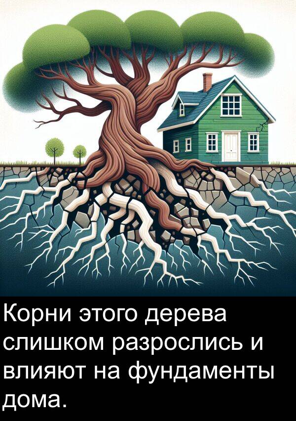 дерева: Корни этого дерева слишком разрослись и влияют на фундаменты дома.