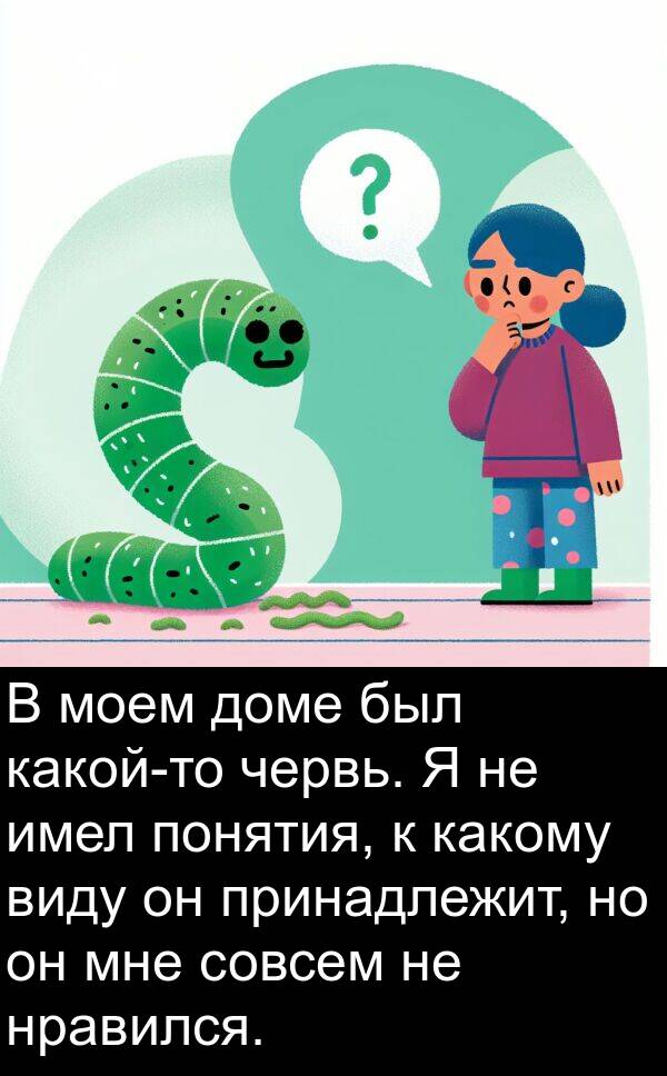 червь: В моем доме был какой-то червь. Я не имел понятия, к какому виду он принадлежит, но он мне совсем не нравился.