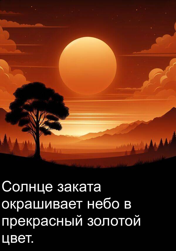 прекрасный: Солнце заката окрашивает небо в прекрасный золотой цвет.