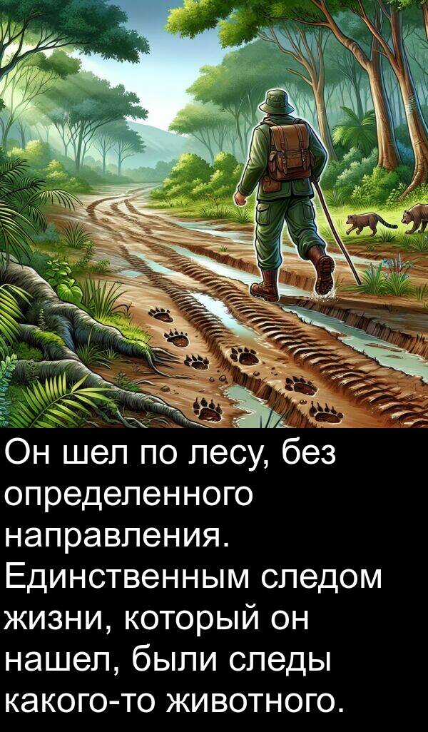 животного: Он шел по лесу, без определенного направления. Единственным следом жизни, который он нашел, были следы какого-то животного.