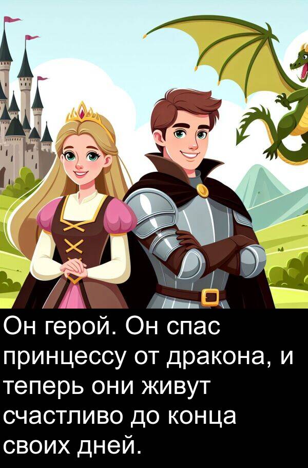 живут: Он герой. Он спас принцессу от дракона, и теперь они живут счастливо до конца своих дней.