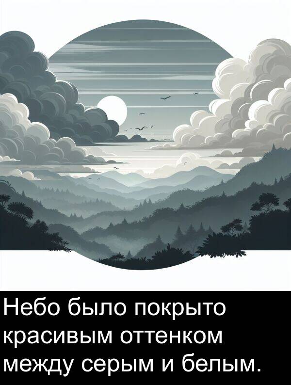 белым: Небо было покрыто красивым оттенком между серым и белым.