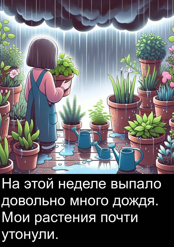 этой: На этой неделе выпало довольно много дождя. Мои растения почти утонули.