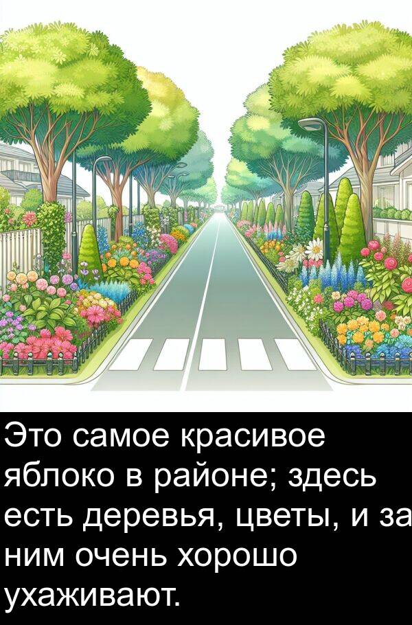 яблоко: Это самое красивое яблоко в районе; здесь есть деревья, цветы, и за ним очень хорошо ухаживают.