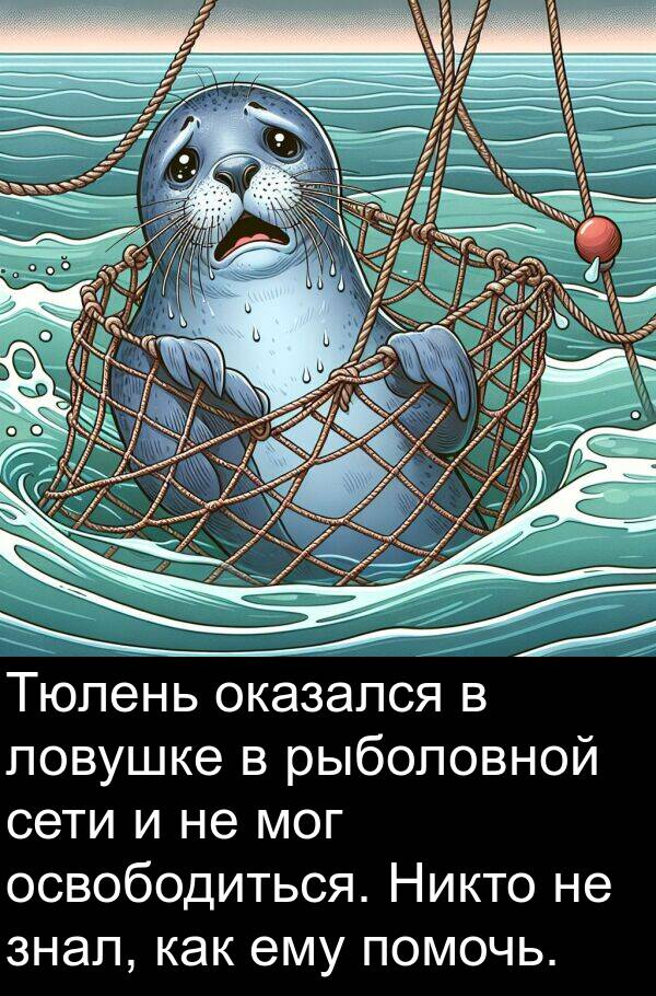 ему: Тюлень оказался в ловушке в рыболовной сети и не мог освободиться. Никто не знал, как ему помочь.