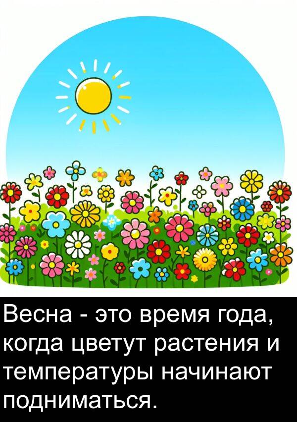 цветут: Весна - это время года, когда цветут растения и температуры начинают подниматься.