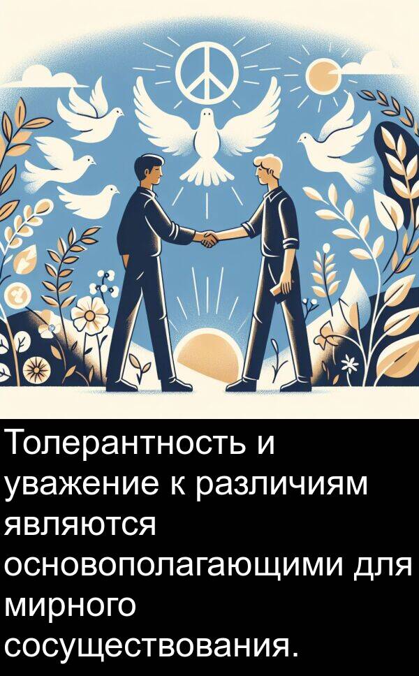 являются: Толерантность и уважение к различиям являются основополагающими для мирного сосуществования.